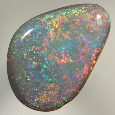 SOLID SEMI BLACK OPAL Bright Floral Harlequin pattern